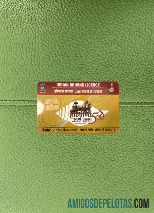 Carteira de motorista do estado de Haryana na Índia fotolook frente exemplo real